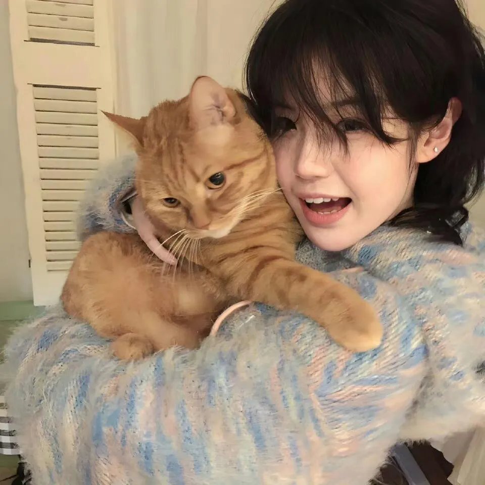 阿尔法：狼伴归途